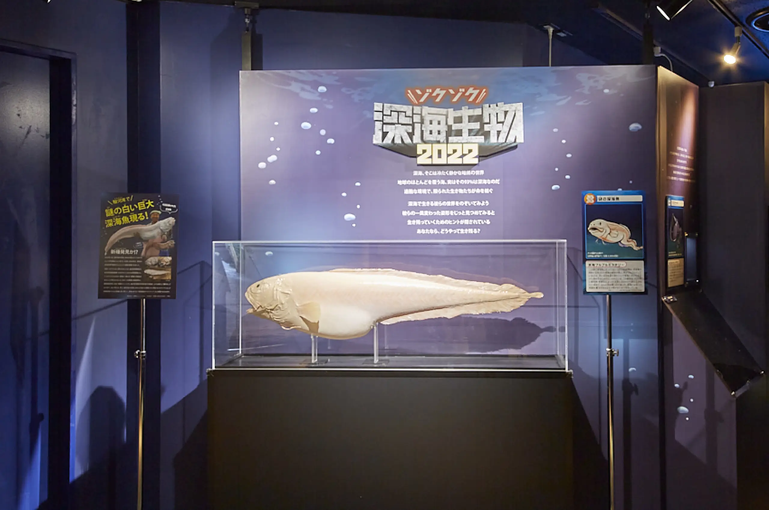 コンセプトビジュアル