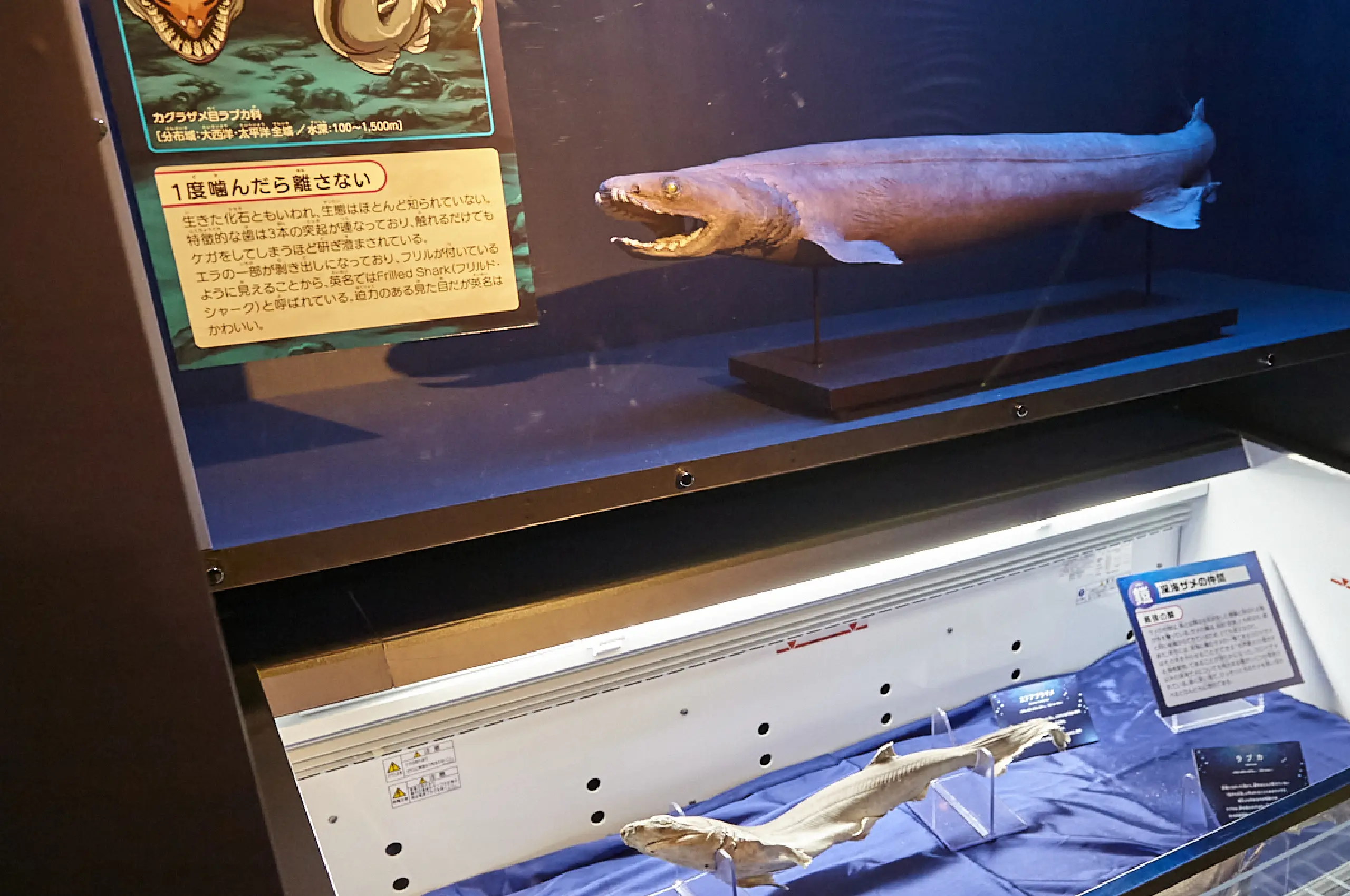 コンセプトビジュアル